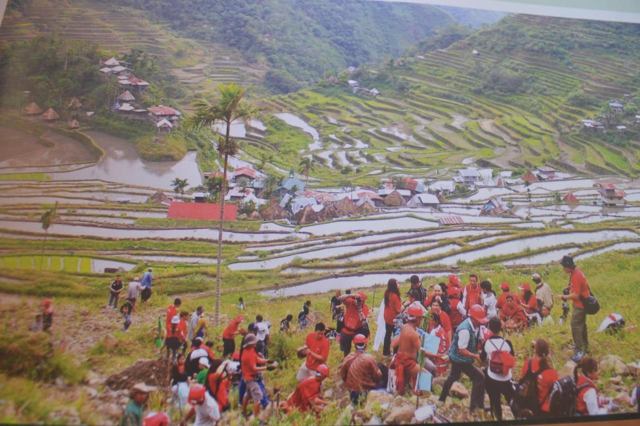 Banaue Evergreen Hostel And Restaurant Bagian luar foto